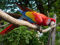 QUITO  –  ECUADOR  7 Days and 6 Nigths